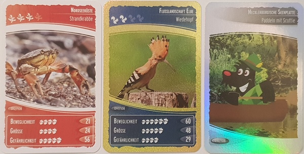 Ozeanien_5_Cards